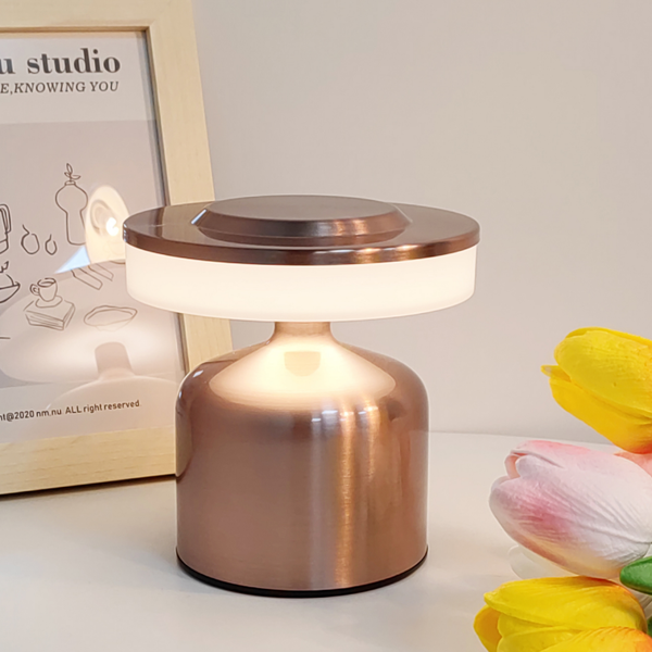 LedLight Mini Rechargeable LED Lamp 1856-E (Iron+Acrylic)
