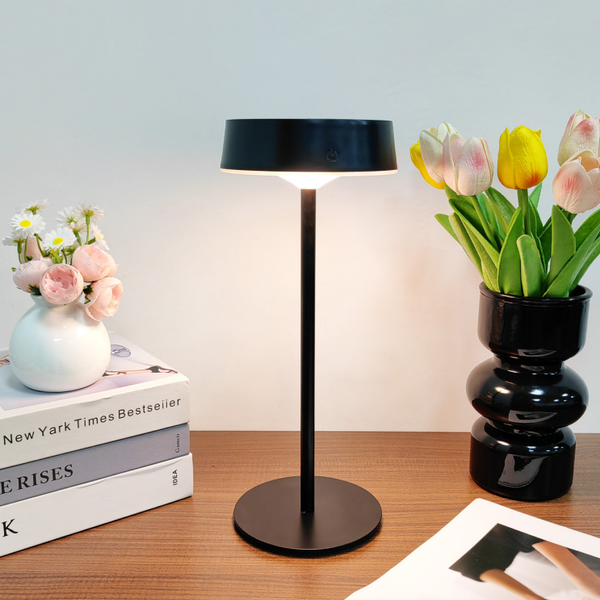 LedLight Solar Rechargeable LED Lamp 1876 (Metal + ABS)